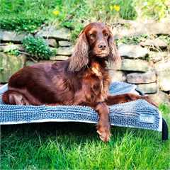 Henry Wag Microfibre Noodle Pet Mat - Large 80x65cm