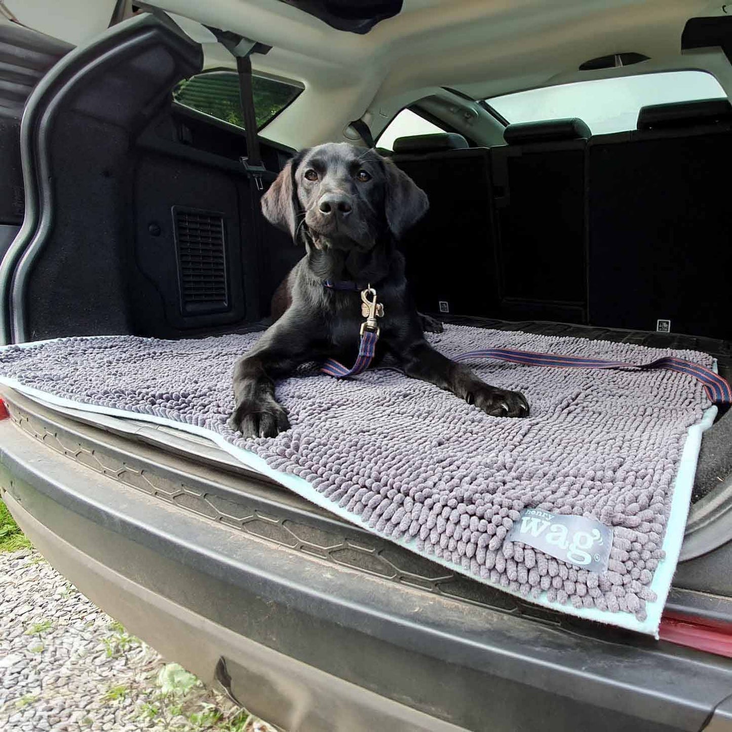 Henry Wag Microfibre Noodle Pet Mat - XLarge 100x80cm
